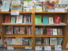 3Fミニ松平地区 (4).JPG