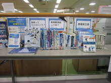 IMG_5425.JPG