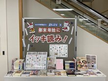 IMG_1147.jpeg