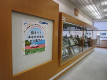 IMG_4185.JPG